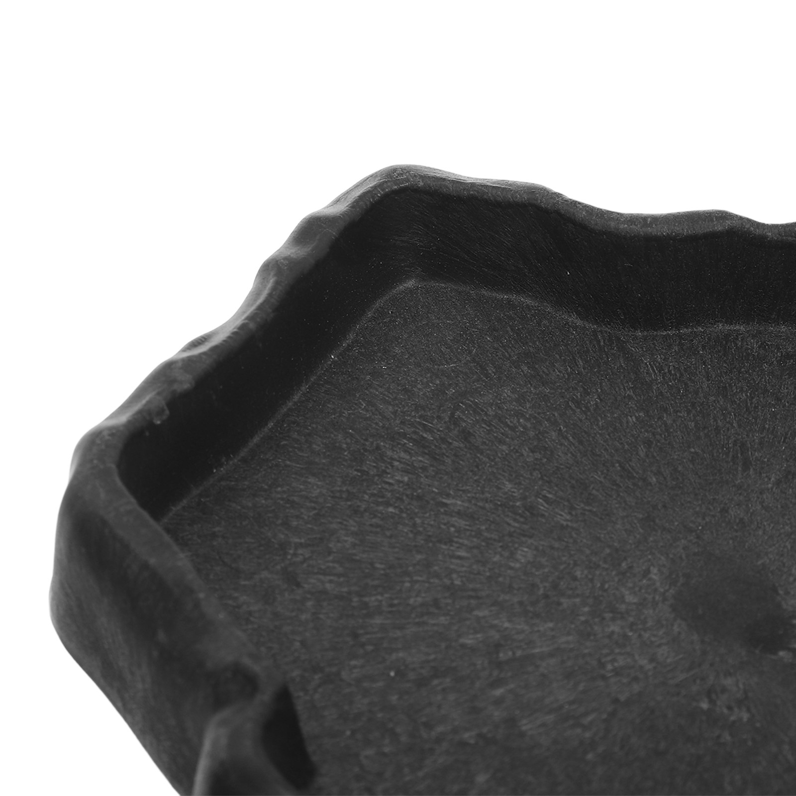 Reptielenvoerbak in natuurlijk - Water Dish Reptile recensie en prijs