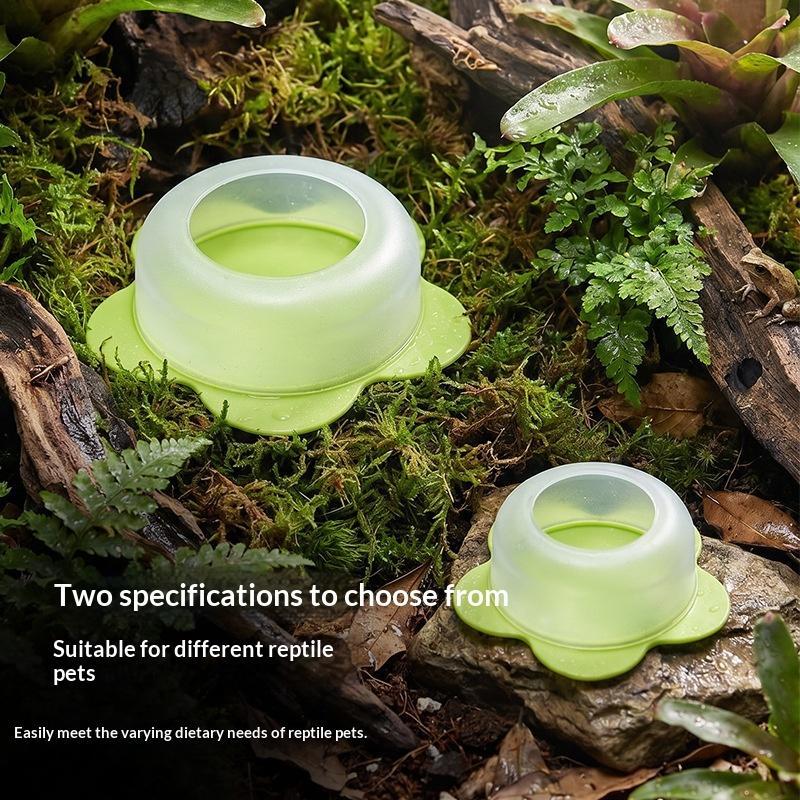 1 Stuks ABS Reptiel Voerbak An - Water Dish Reptile recensie en prijs
